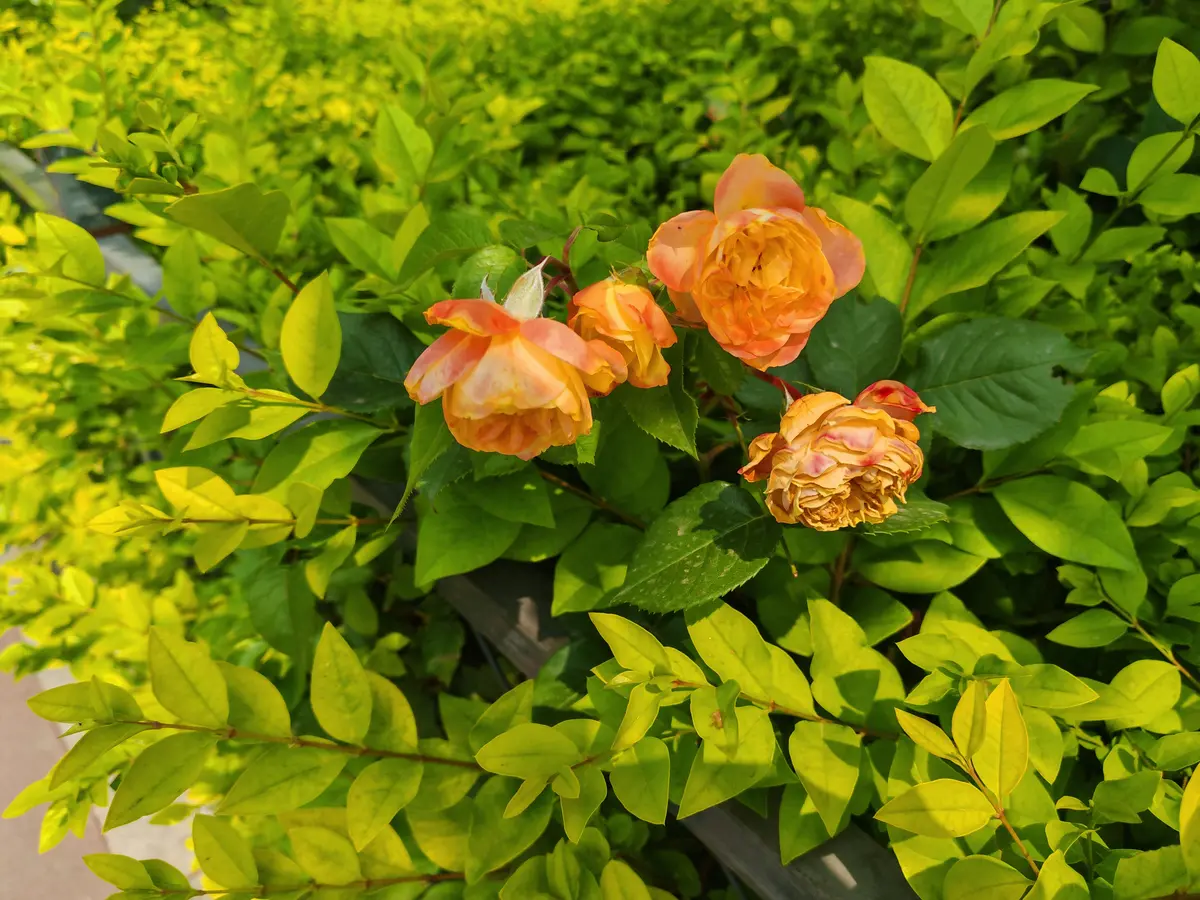 翻篇即是新章，所有的美好都恰逢其时