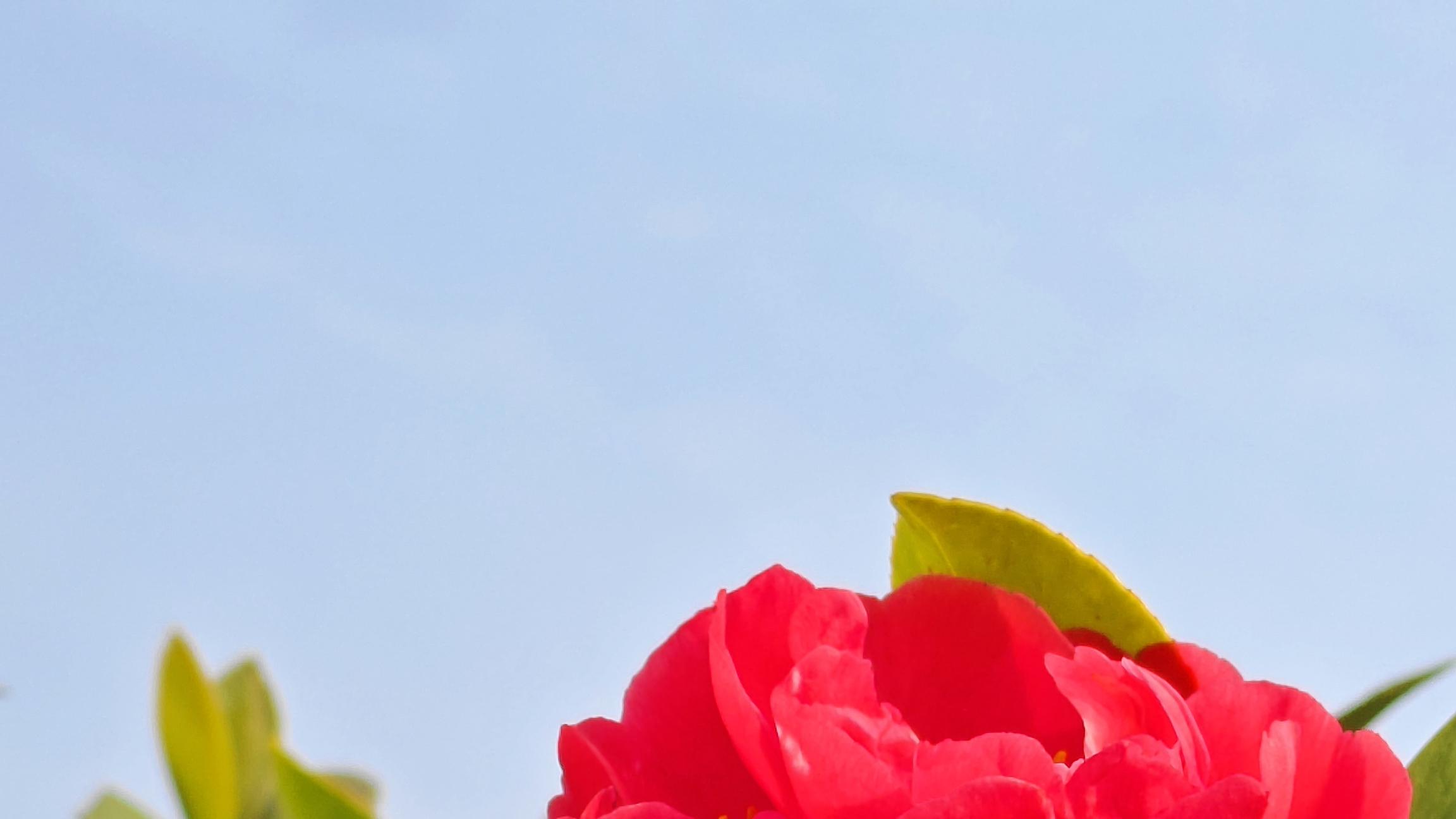 真心爱你的男人，从不会问你这三句话