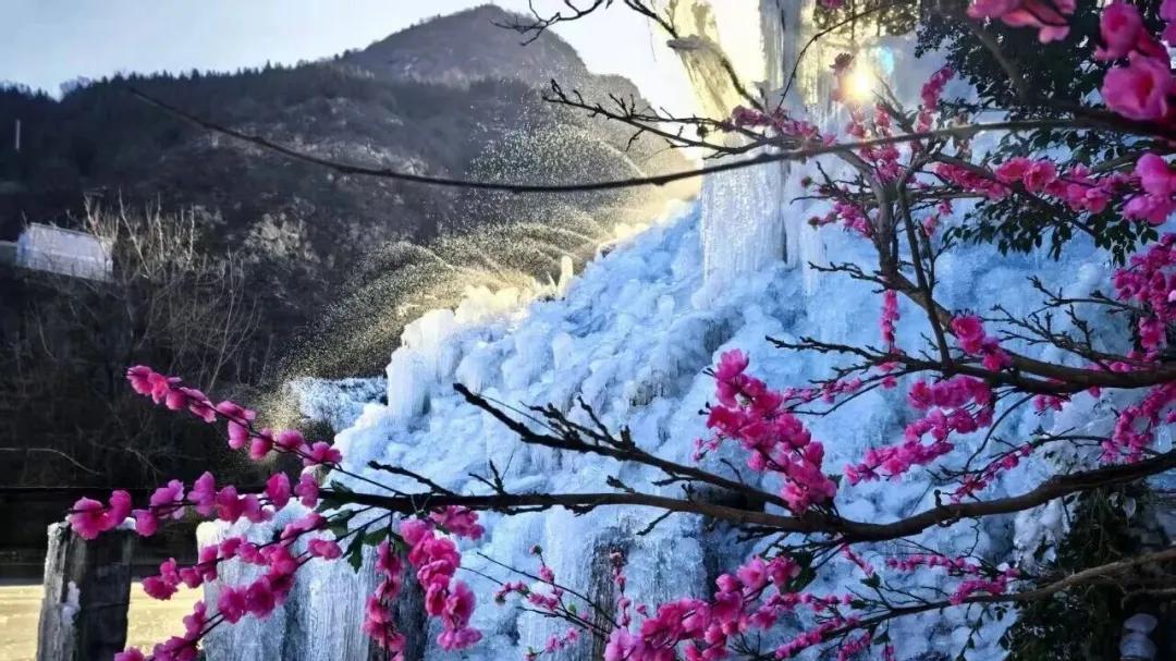 这个冬天，赴一场冬日撒欢之约