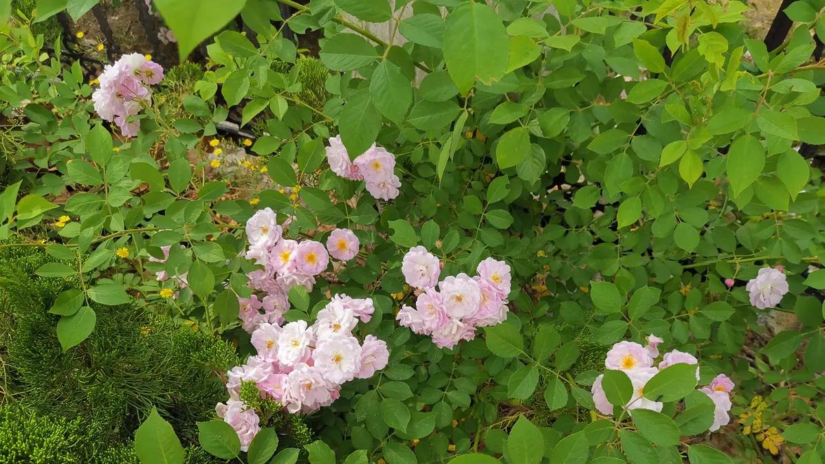 利用抽象阶梯去想的五种技巧