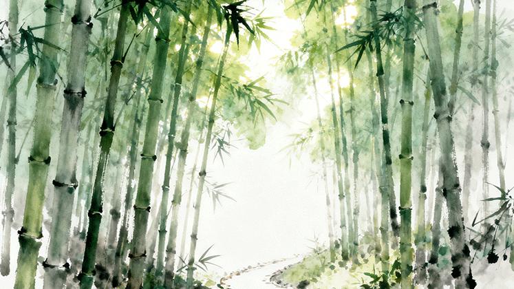 善韵缘|有福气的人，都有一颗善心