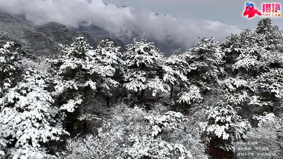 五老峰春雪 银峦雾淞绘就水墨丹青