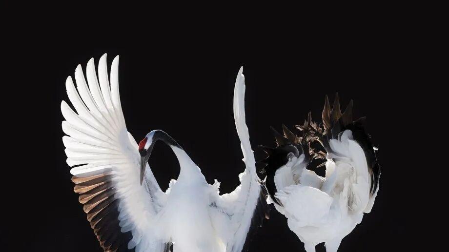 相亲男，真的完全不挑吗？