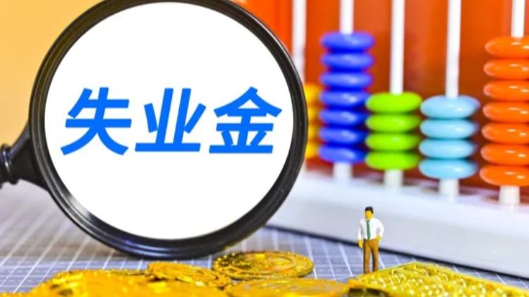 做好日常求职记录，从容应对失业金周期性复核