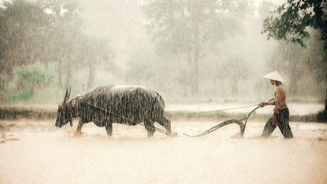 正月廿六定春寒，今日廿六，看看老话准不准