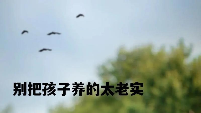 不要把孩子养得太老实，过度懂事，是一种伤害