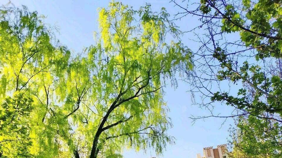 命运笔话：尘世烟火里的美好向往