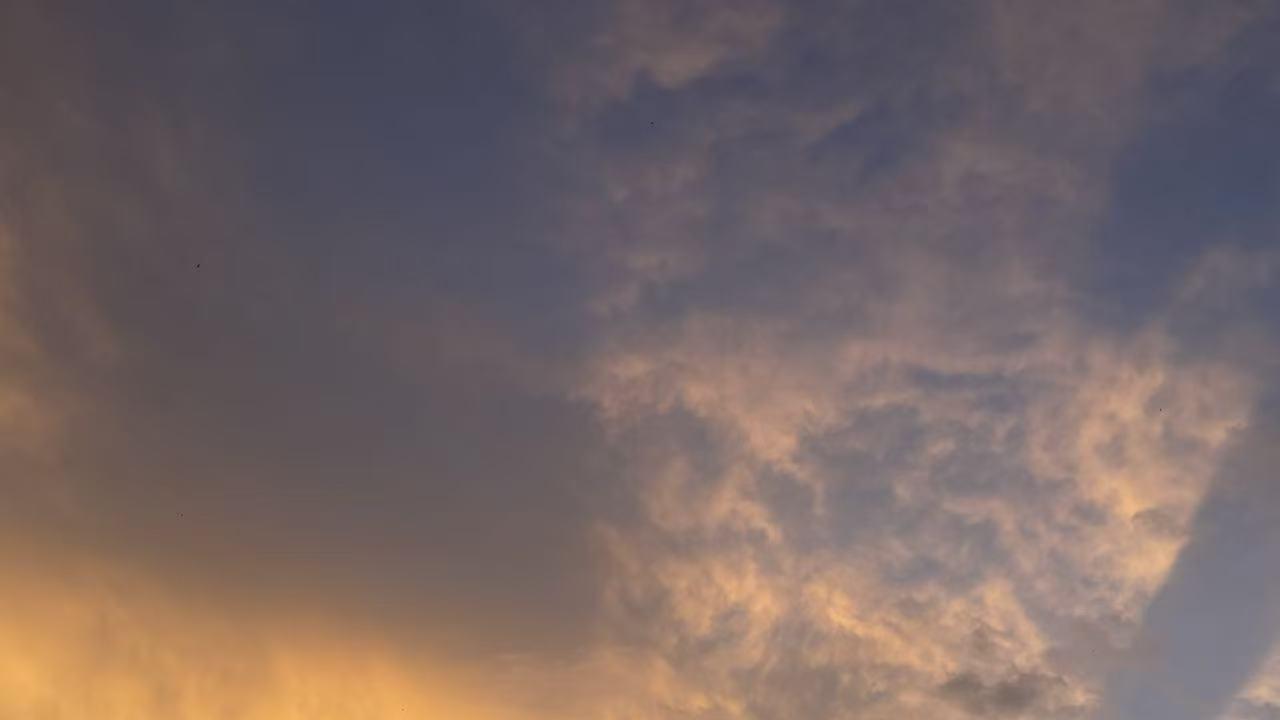 大家发现没：现在真诚的人越来越少了？