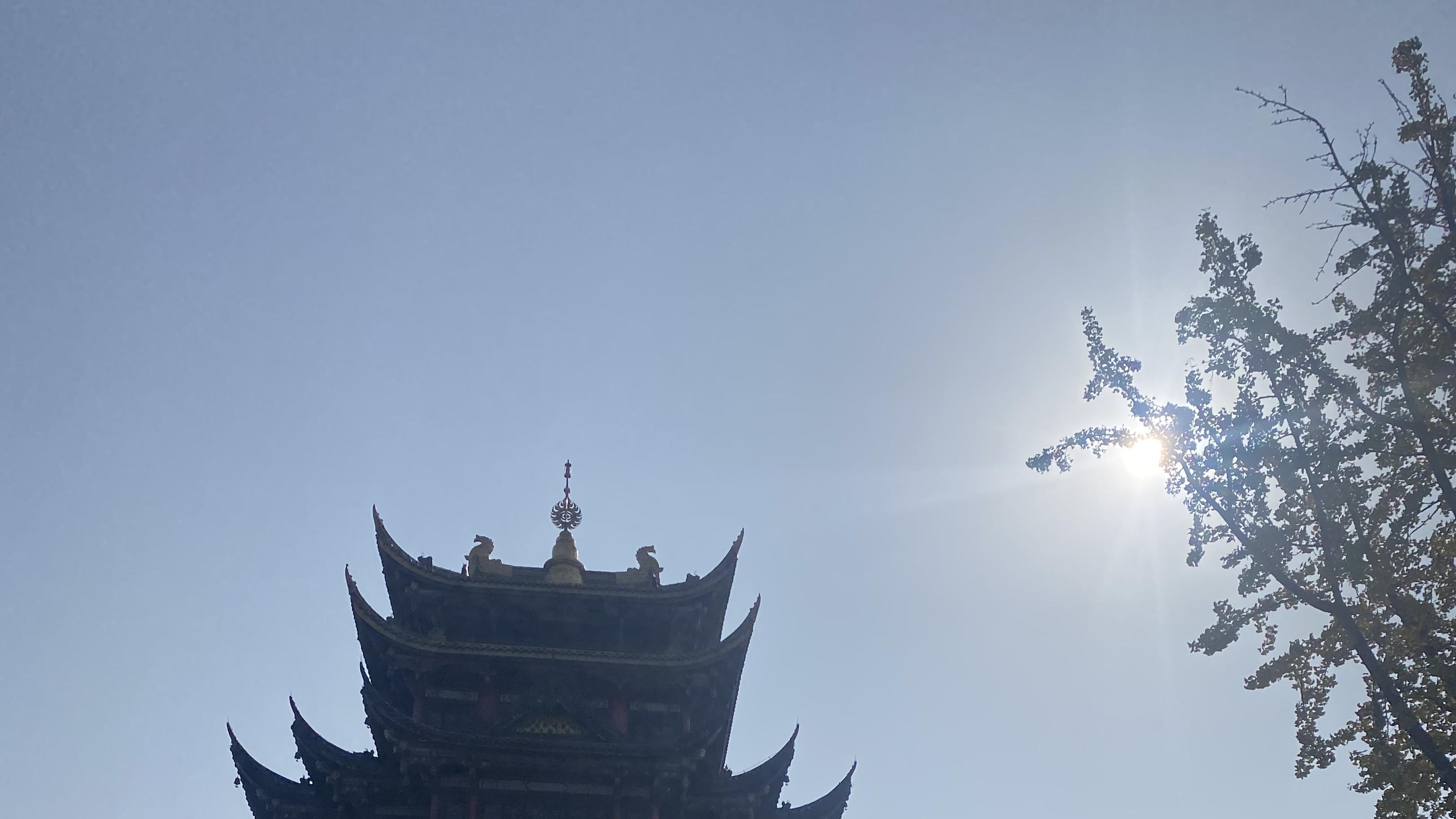 新年“心”攻略：拒绝焦虑内耗，把日子过成自己喜欢的样子