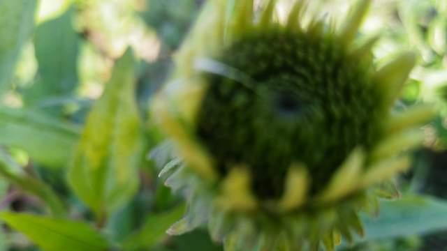 距高考还有110天，为了更好赋能孩子自驱力，我准备做好这几件事