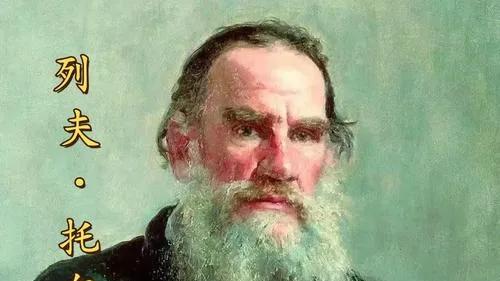 美洲原生花草树-向日葵