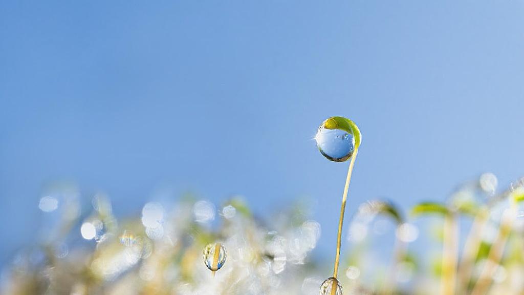 过年的“三件套”，正在拆掉人情枷锁