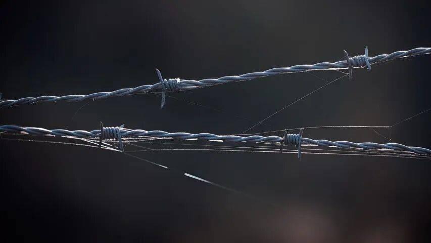 家电企业的出路永远只有一条