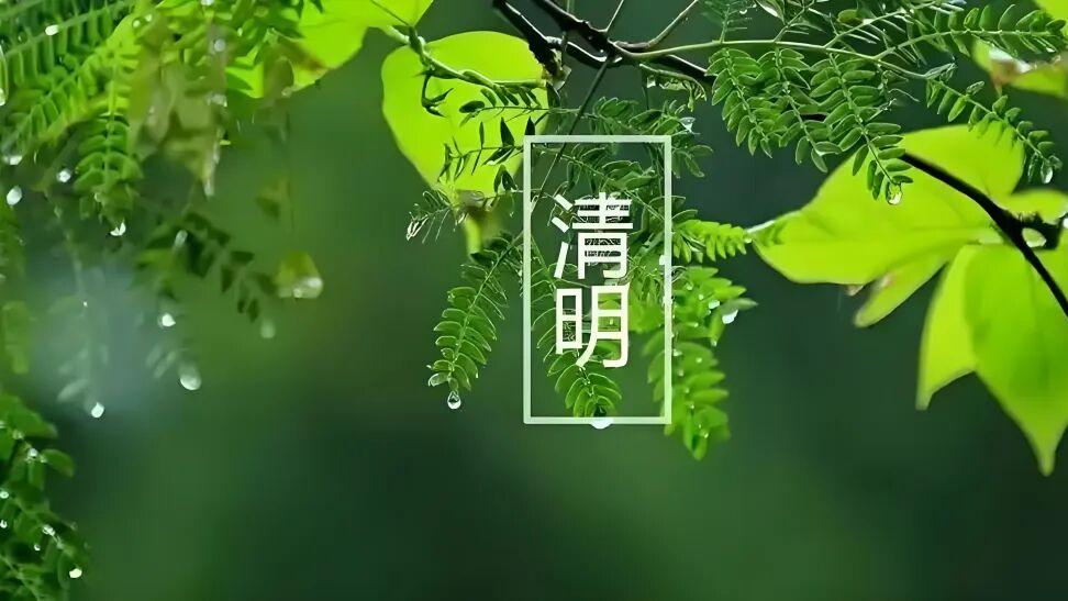 七律·清明芳草又东风