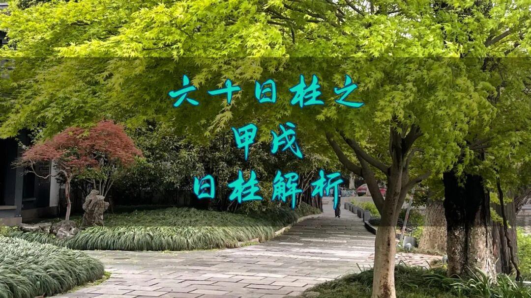 六十日柱之甲戌日柱解析