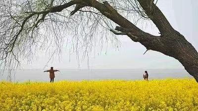 一泓湖水润天中（朱晓吾）