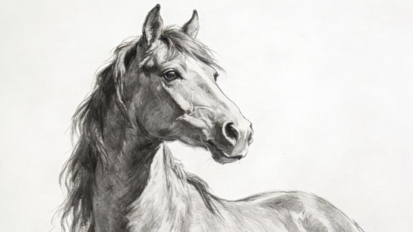 2026 年农历丙午年｜生肖马运势与吉凶全解：离火当令本命年，伏吟自刑炼真金