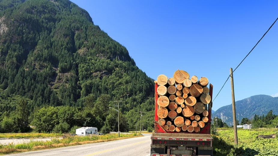 加拿大突然出手！将提高蔬菜、木材等进口关税？