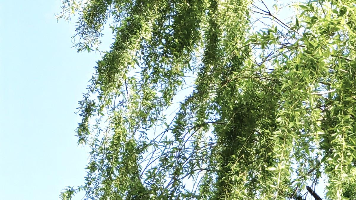 人在职场：直面Ai，不慌不忙