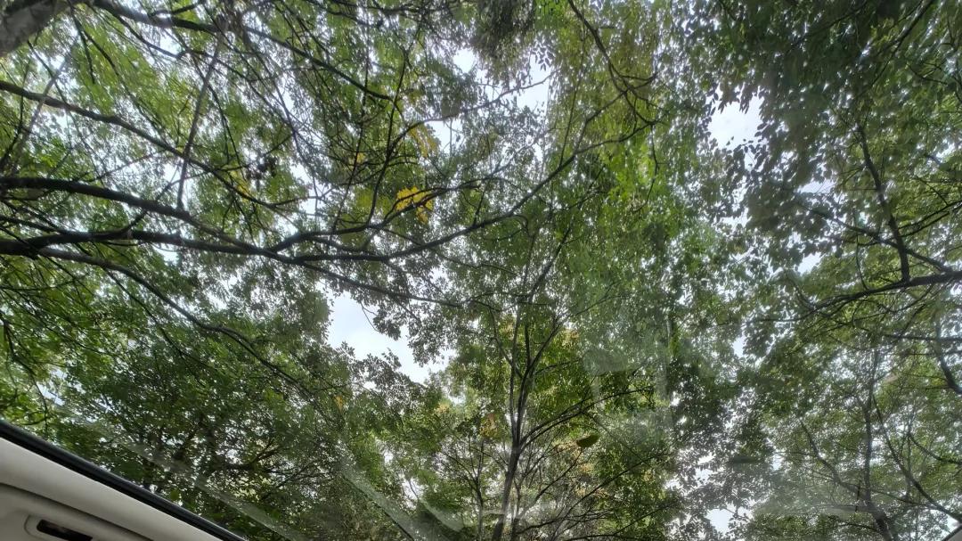 极氪发了个公约，其他品牌该紧张了