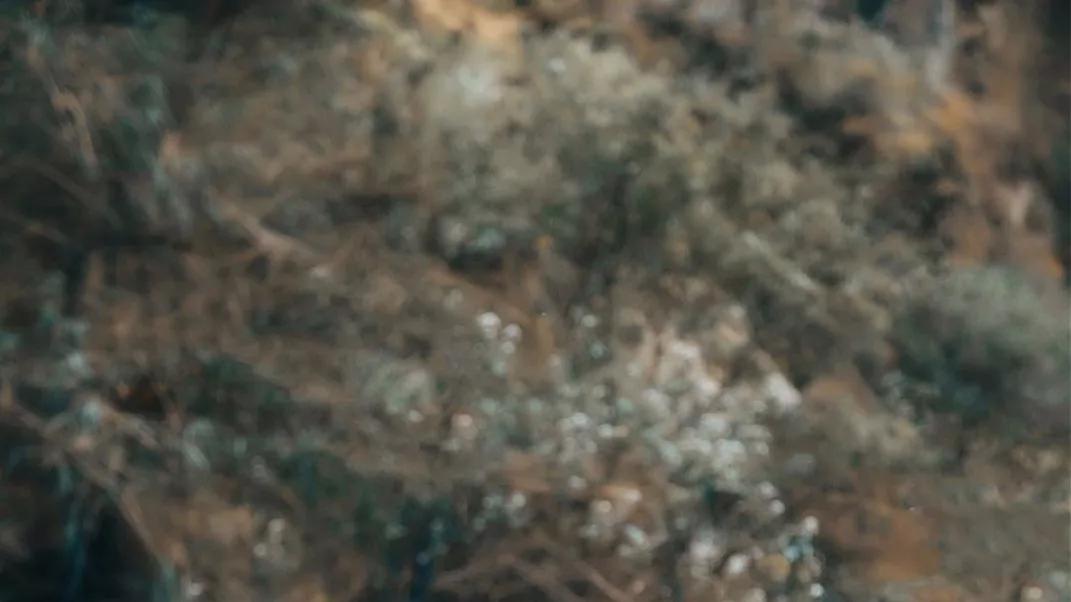 越没福气的人，身上这三个毛病越突出！