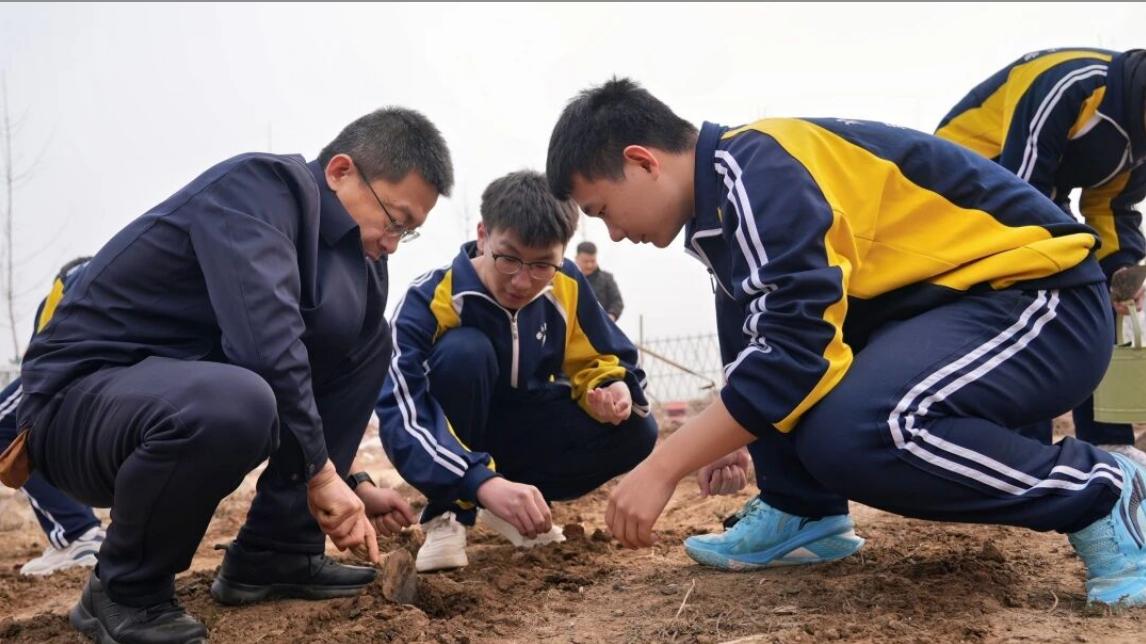 八十天扎根，一举夺“葵”，安平志臻师生共同种下向阳期许