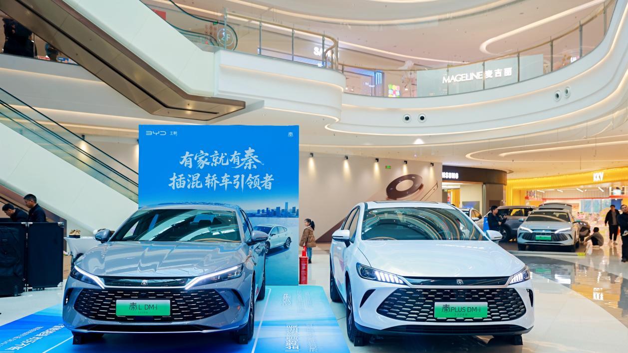 秦宋双冠耀山城，比亚迪携长续航家族开启2026年出行新篇章