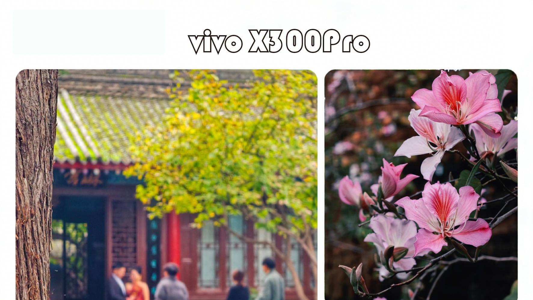 2026 拍照手机大赏：手残党秒变摄影大师的必看榜单！