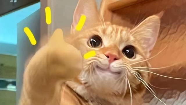 副本没人带？网易这波操作让白嫖党也能组起“固定车队”