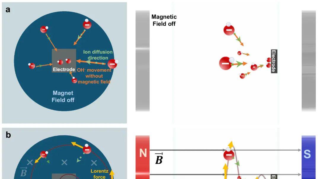 铁磁、顺磁与反铁磁：磁性材料分类及其在电催化（OER/ORR）中的自旋调控应用