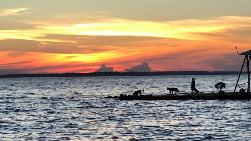 世界流量第一——亚马逊河