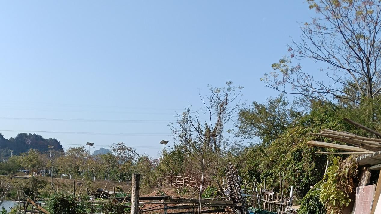 不会打牌搓麻将，日子也很快过