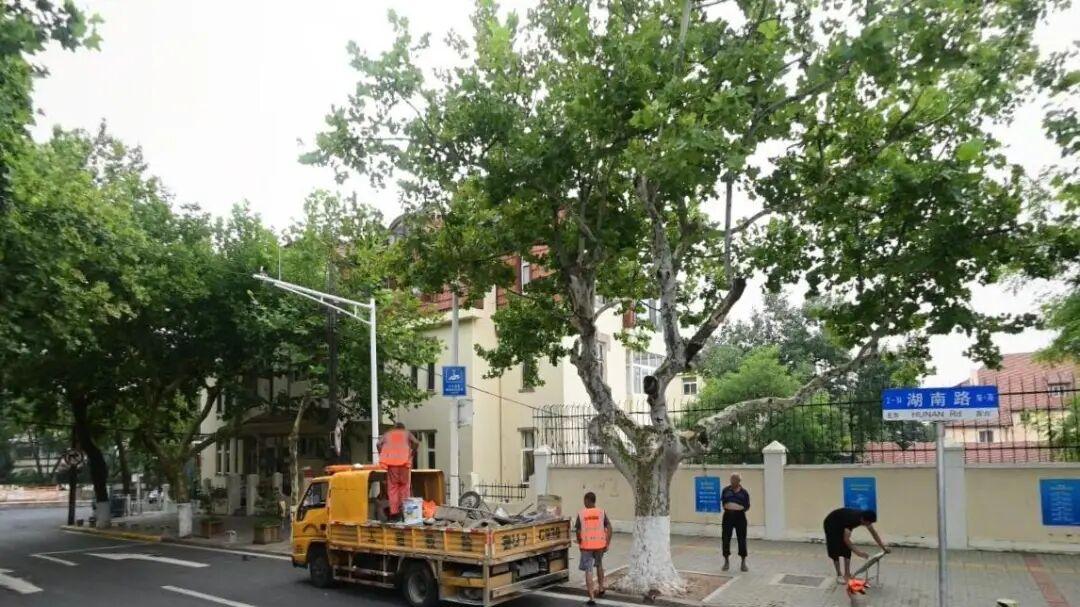 引入生态花墙，市南将改造绿化空间