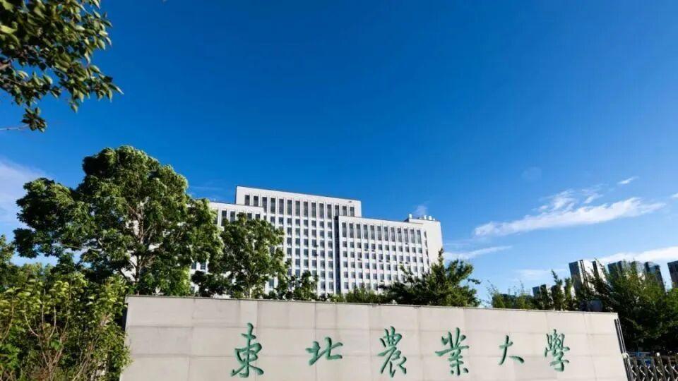 国内高校分享第123期：东北农业大学-农业生竟成CSC宠儿？东北农大凭黑土地逆袭留学圈