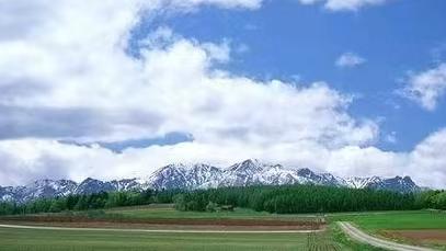 公孙贺，一个不想当丞相却因丞相一职身死的人