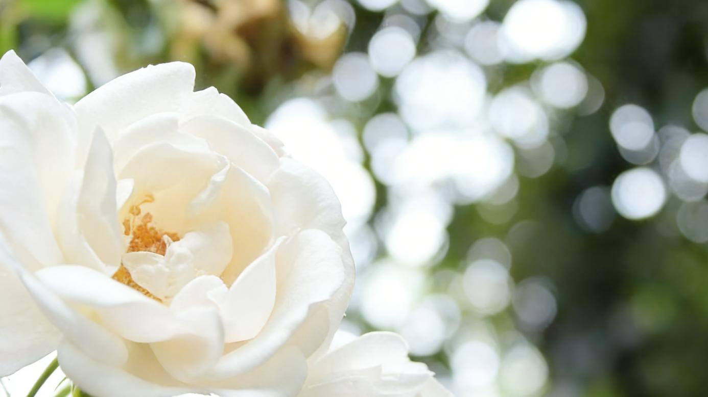 看清这 3 个信号，别为不爱你的人消耗自己