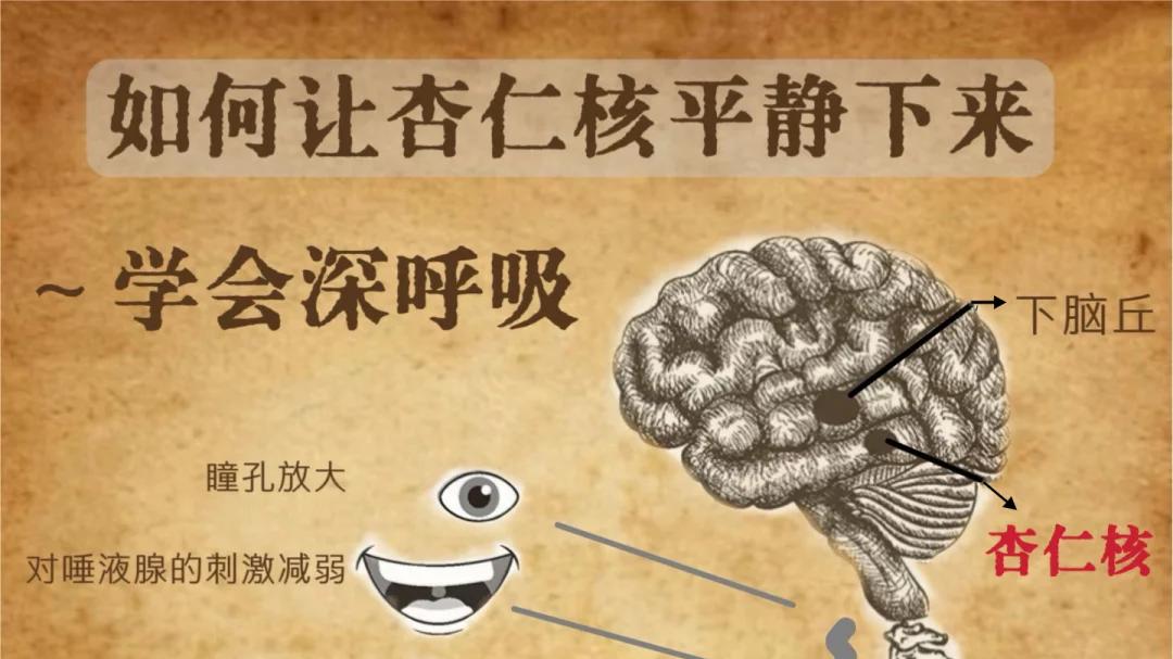 每天10分钟，告别当众发言紧张和混乱