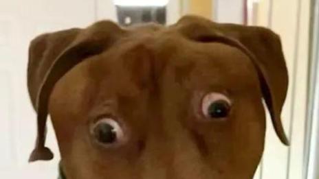 搜打撤大乱炖，武侠+僵尸成开年爆款