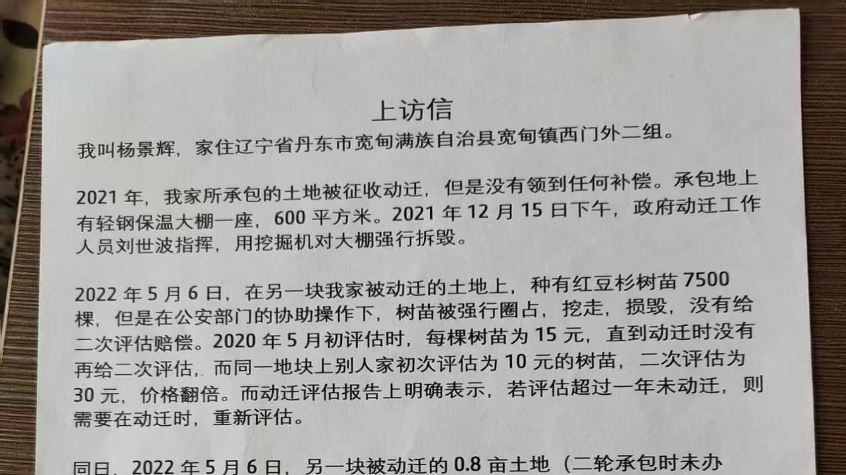 辽宁宽甸村民举报动迁造假树苗数量砍半补偿双标谁在漠视村民权益