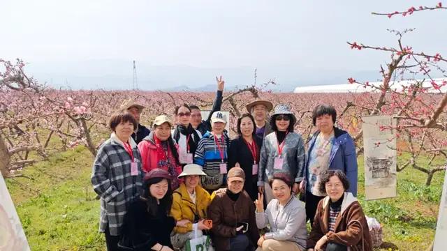 宝鸡春日顶流：一场田园画展，点亮千亩桃林