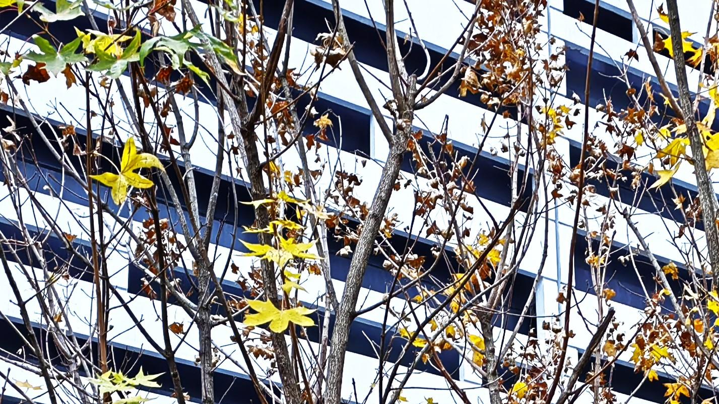 大心脏，慢慢练出来