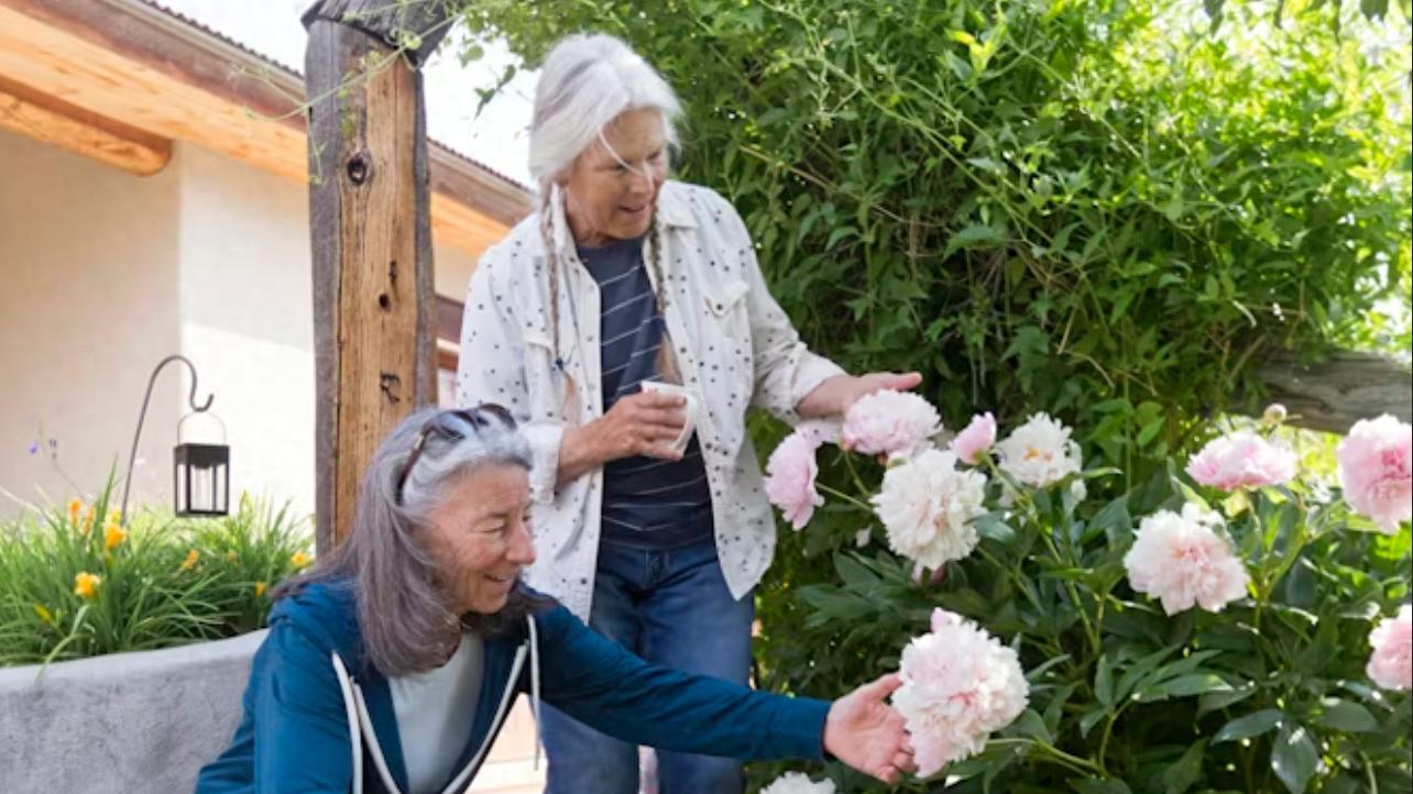 告别隐形消费！2026 精选 5 家高口碑小程序开发公司