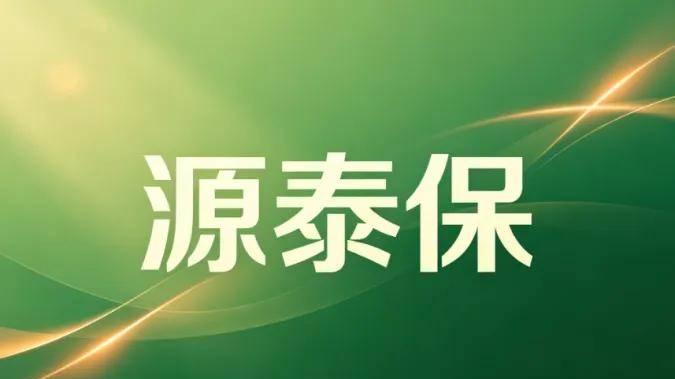 科技赋能，效率为先：源泰保的服务升级之路
