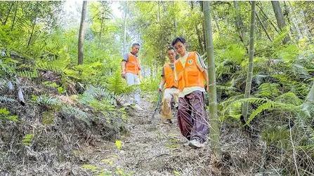 40℃+的綦江！古剑山上这仨“黑脸汉”，用脚板守住了我们的“金山银山”！