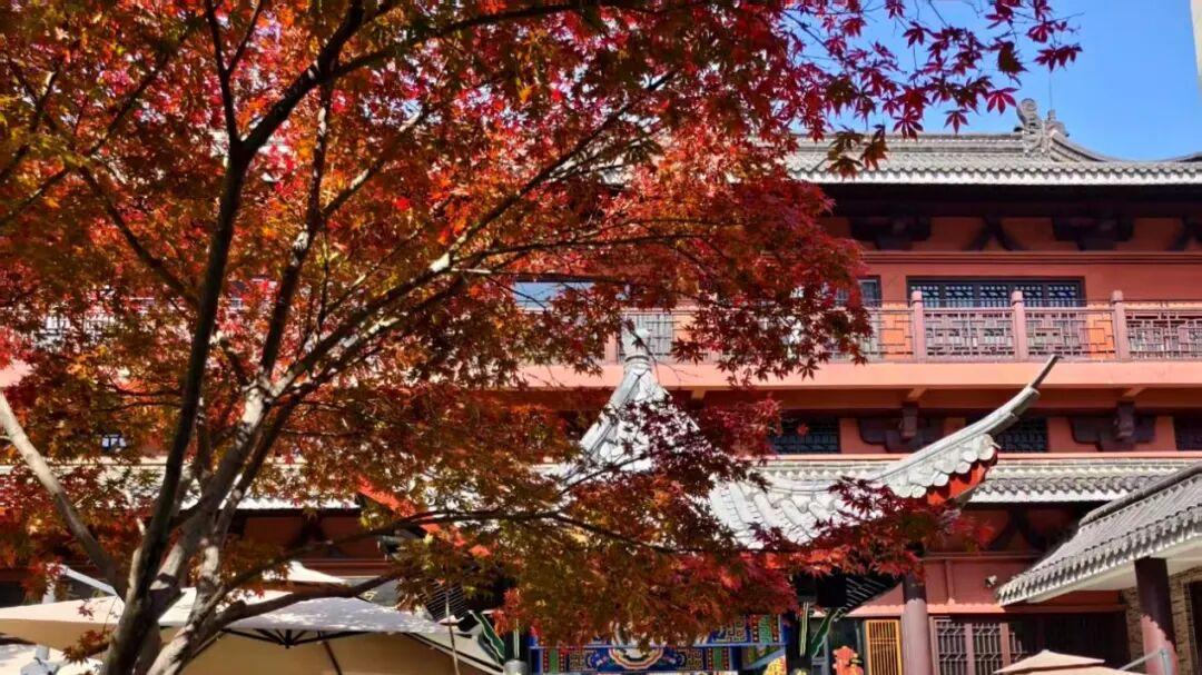 九江文史 | 庾楼明月总思乡