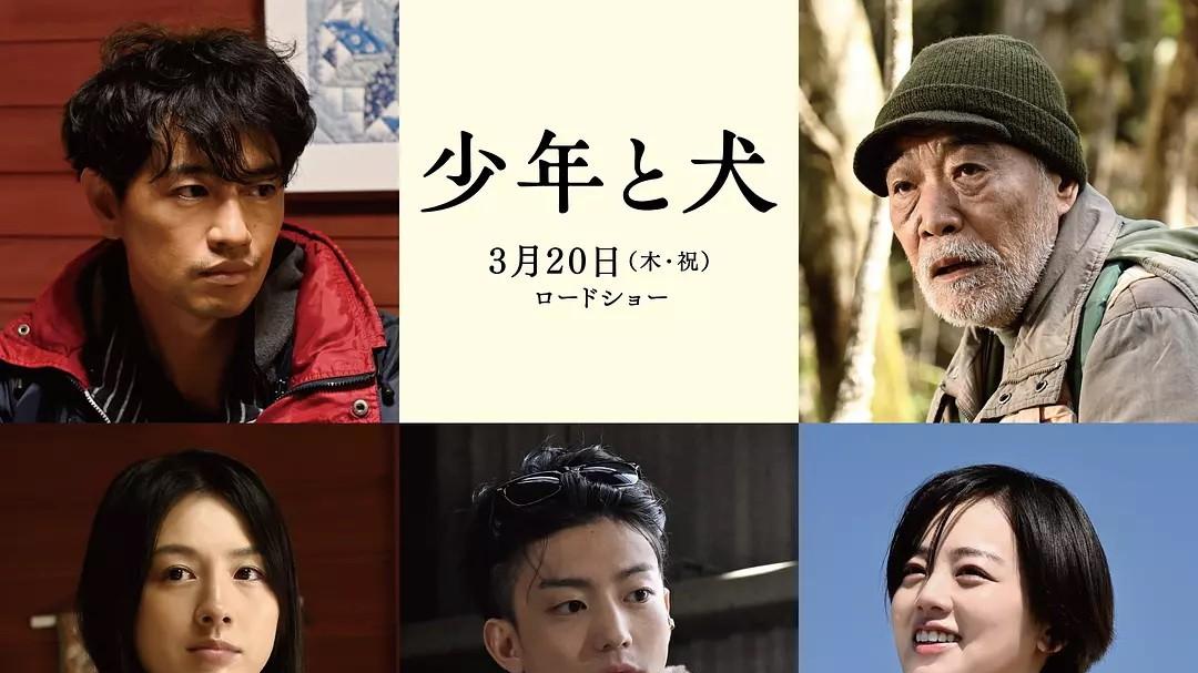 串联创伤众生相——《少年与犬》