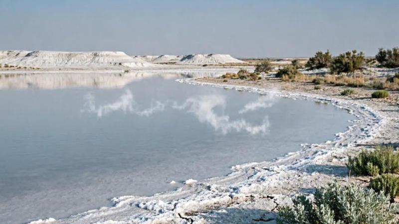 苦咸水处理为什么要用水质氯离子在线监测分析仪？