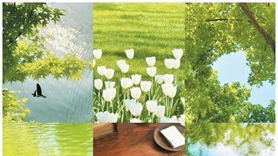 Colorwalk火了！4.6亿次围观的“色彩漫步”，治愈了谁？