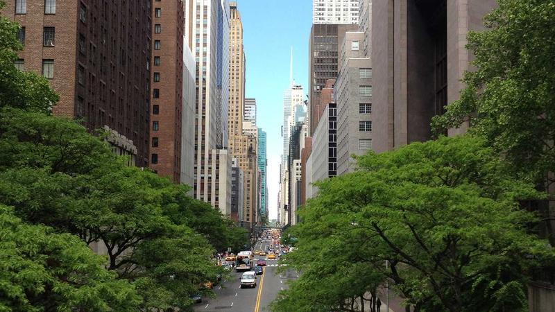 太牛了！00后交大博士造出"机器鸟"，竟能吸引真鸟伴飞！获投千万要火