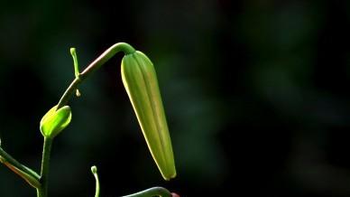 你可能是天生多情女命吗